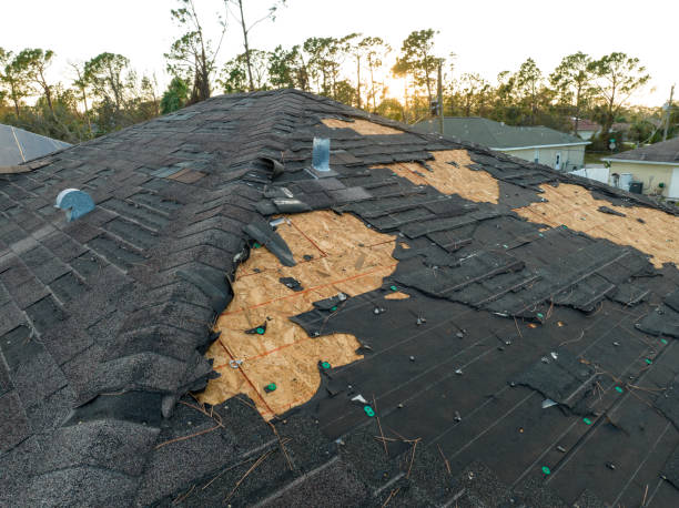 Best Metal Roofing Installation  in Wilkshire Hills, OH